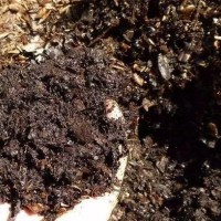 Soil in soil, special soil for Clivia, breathable household fertilizer, orchid plant material, speci